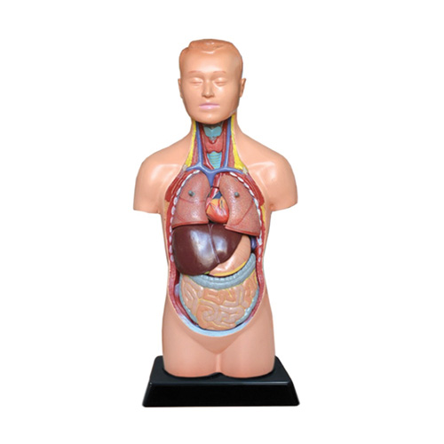 مولاژ نیم تنه مینی ساده